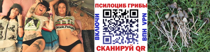даркнет сайт Сосногорск Псилоцибиновые грибы Magic Shrooms